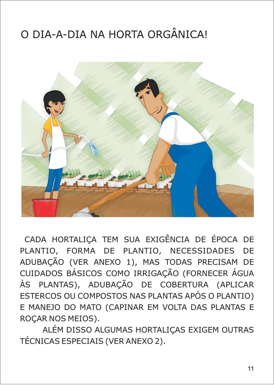 MAS TODAS PRECISAM DE CUIDADOS BÁSICOS COMO IRRIGAÇÃO (FORNECER ÁGUA ÀS PLANTAS), ADUBAÇÃO DE COBERTURA (APLICAR