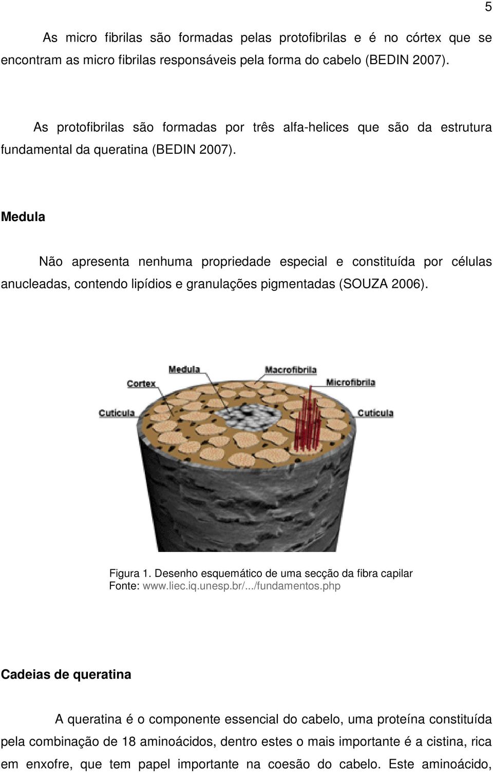 Medula Não apresenta nenhuma propriedade especial e constituída por células anucleadas, contendo lipídios e granulações pigmentadas (SOUZA 2006). Figura 1.