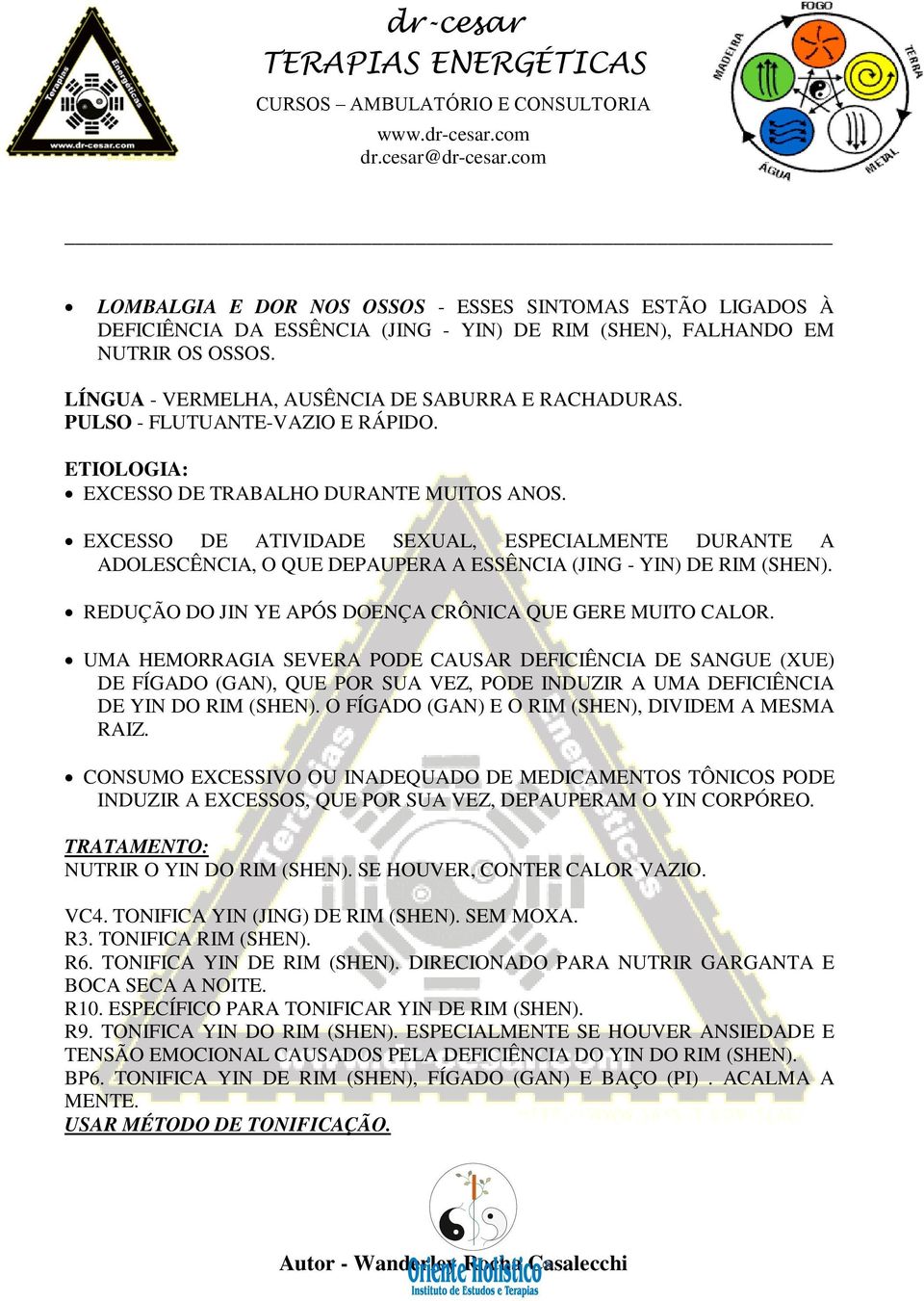 EXCESSO DE ATIVIDADE SEXUAL, ESPECIALMENTE DURANTE A ADOLESCÊNCIA, O QUE DEPAUPERA A ESSÊNCIA (JING - YIN) DE RIM (SHEN). REDUÇÃO DO JIN YE APÓS DOENÇA CRÔNICA QUE GERE MUITO CALOR.