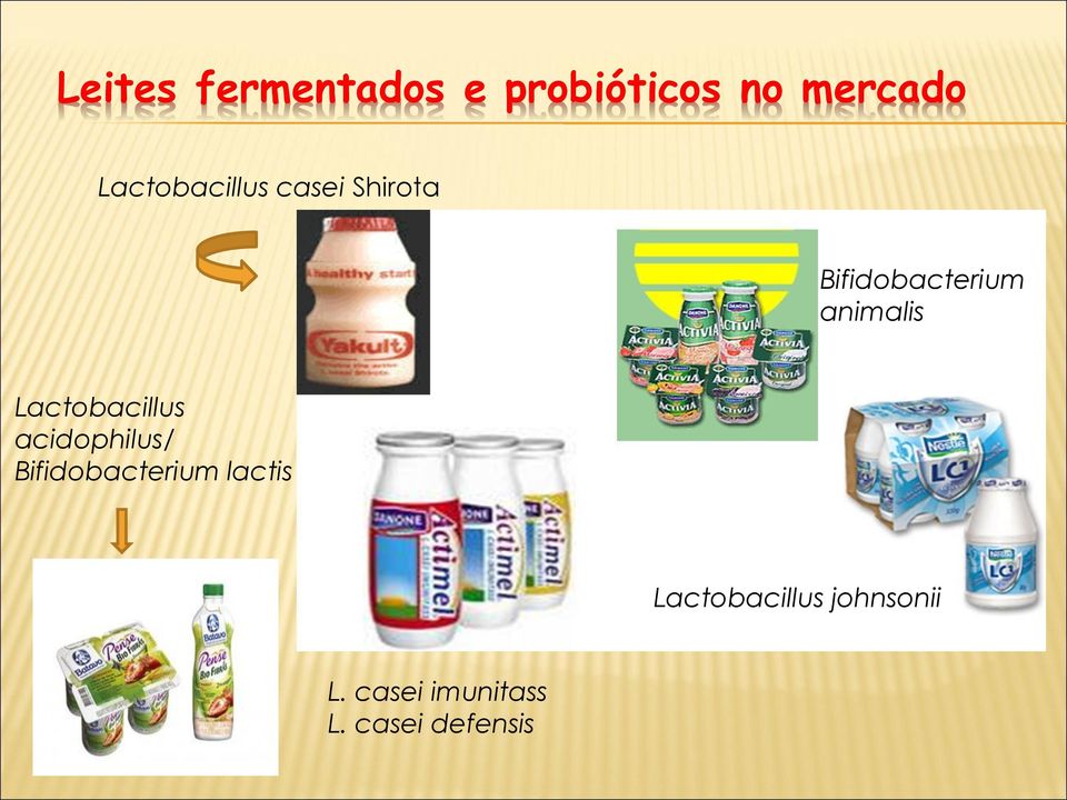 animalis Lactobacillus acidophilus/ Bifidobacterium