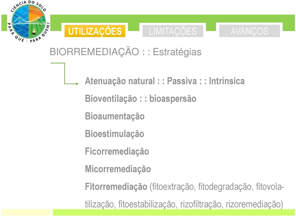 Ficorremediação Micorremediação Fitorremediação (fitoextração,