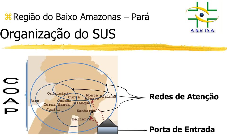 Organização do SUS