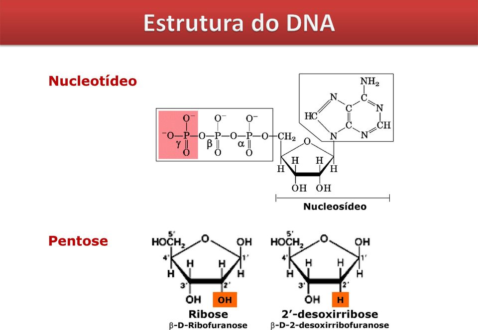 -D-Ribofuranose H 2