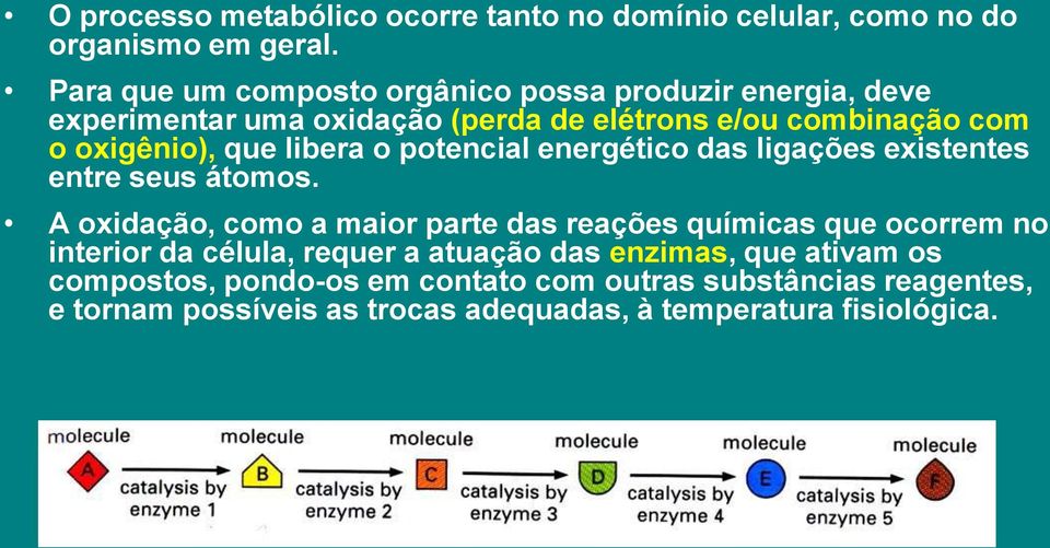 libera o potencial energético das ligações existentes entre seus átomos.