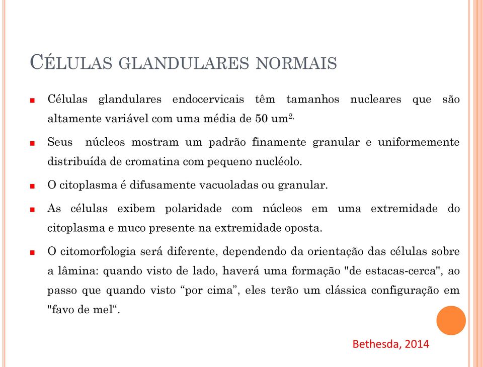 As células exibem polaridade com núcleos em uma extremidade do citoplasma e muco presente na extremidade oposta.