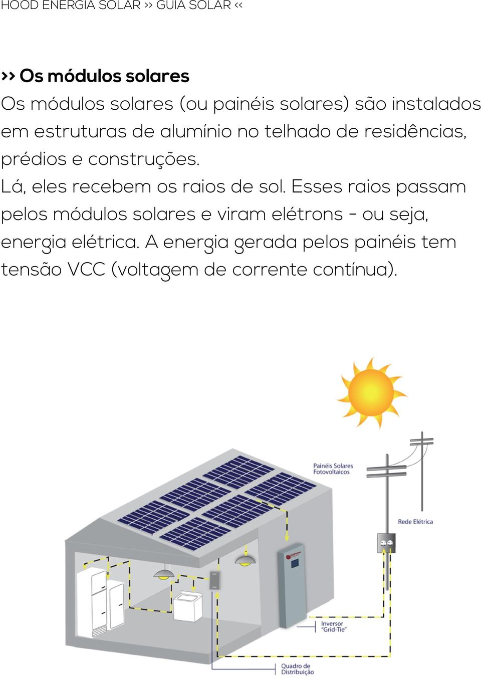 Lá, eles recebem os raios de sol.