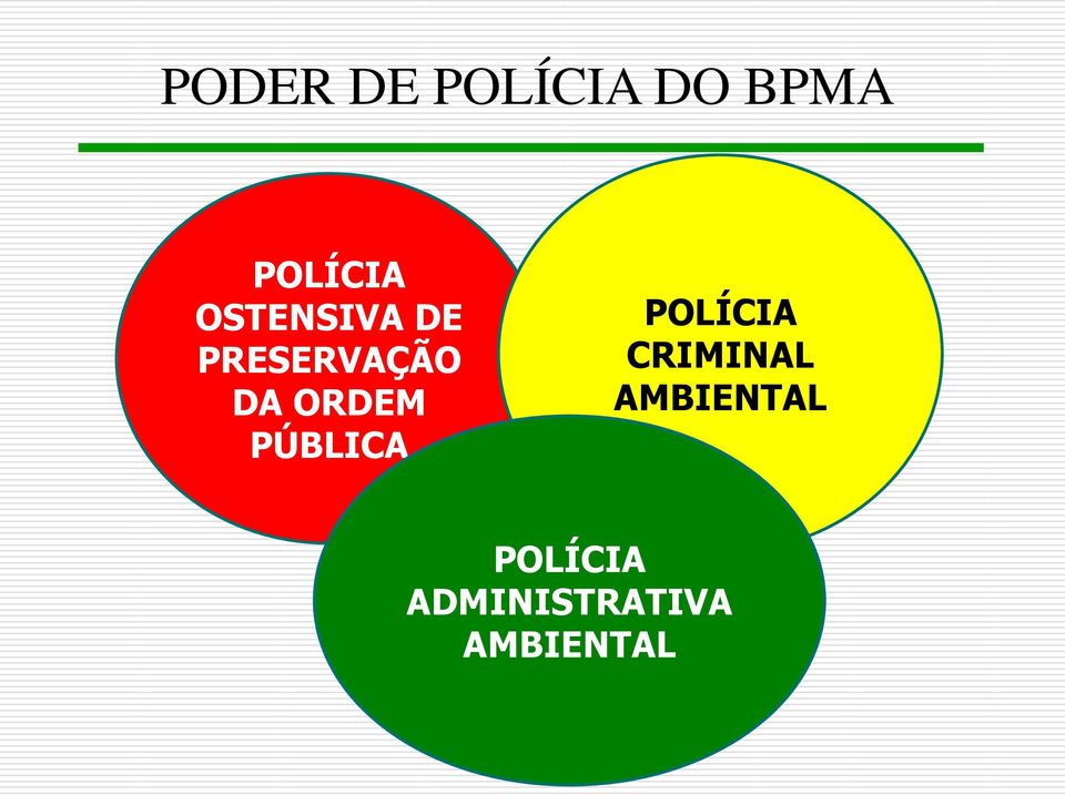 PÚBLICA POLÍCIA CRIMINAL