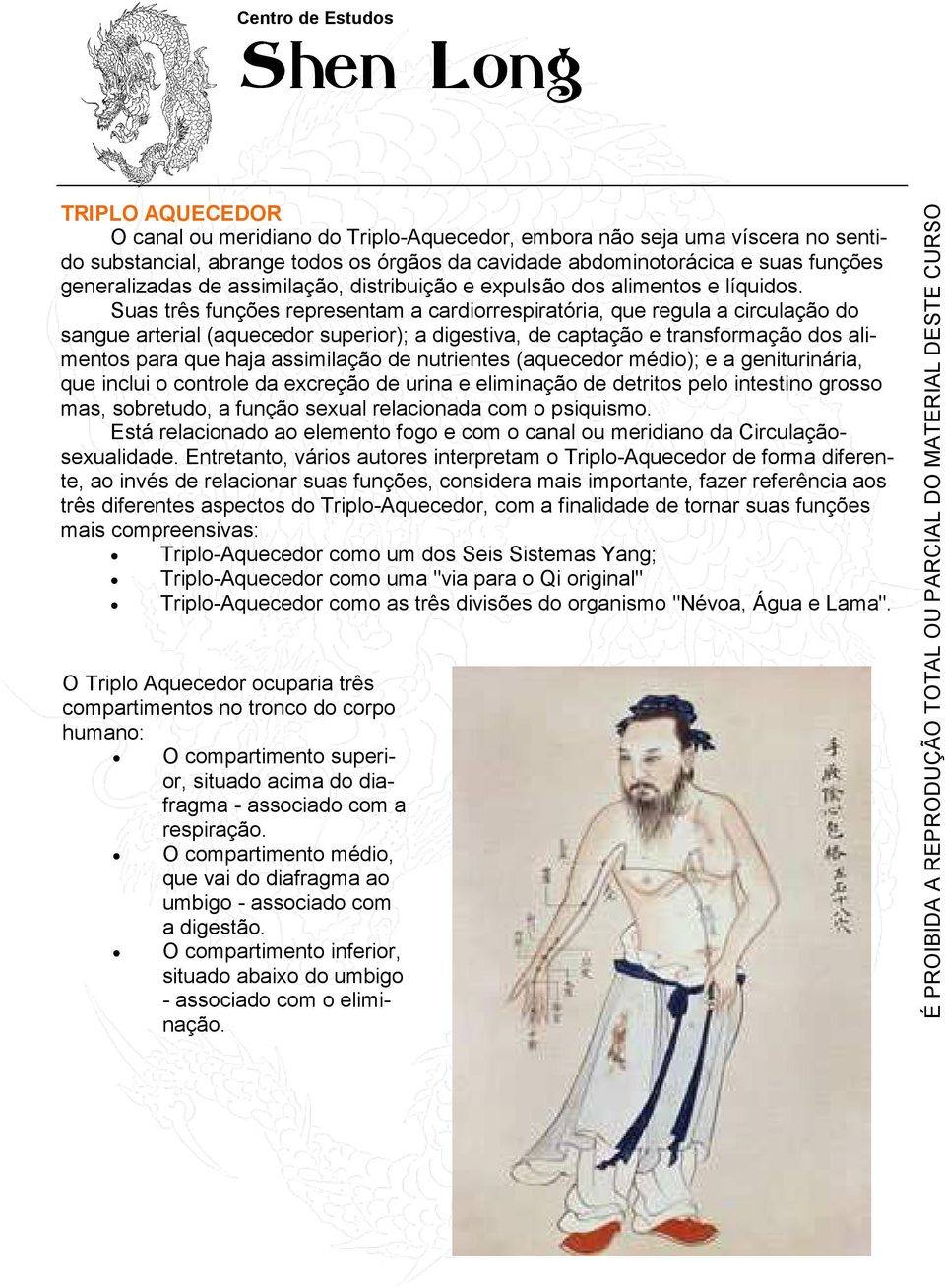 Suas três funções representam a cardiorrespiratória, que regula a circulação do sangue arterial (aquecedor superior); a digestiva, de captação e transformação dos alimentos para que haja assimilação