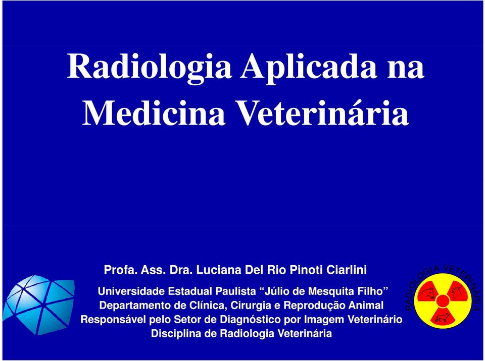 Filho Departamento de Clínica, Cirurgia e Reprodução Animal Responsável pelo Setor