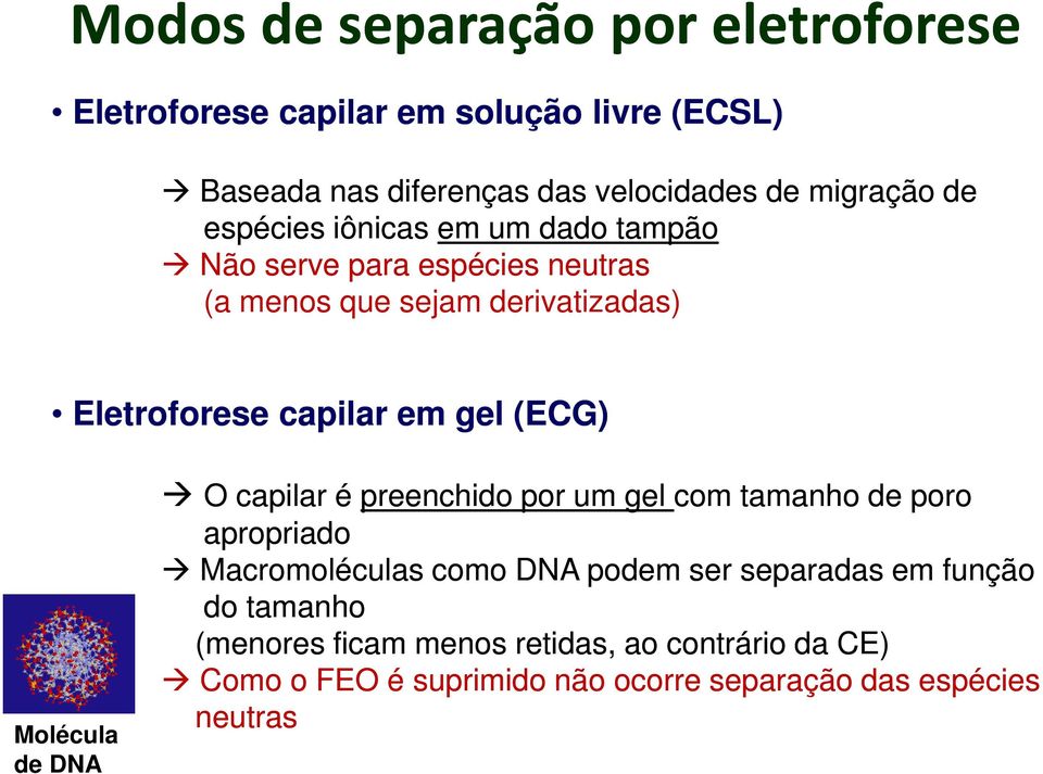 (ECG) Molécula de DNA O capilar é preenchido por um gel com tamanho de poro apropriado Macromoléculas como DNA podem ser separadas