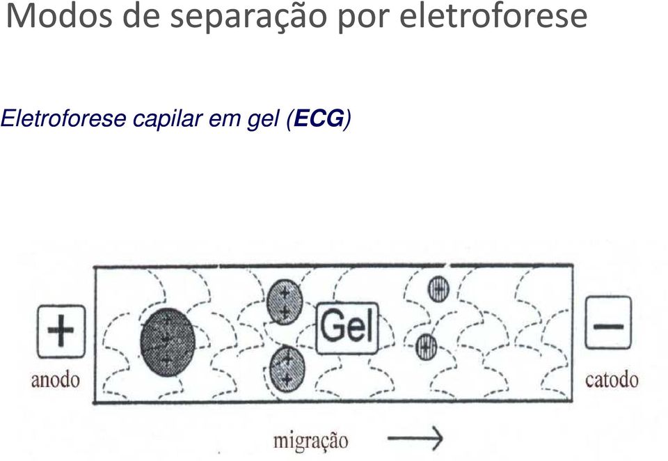 eletroforese