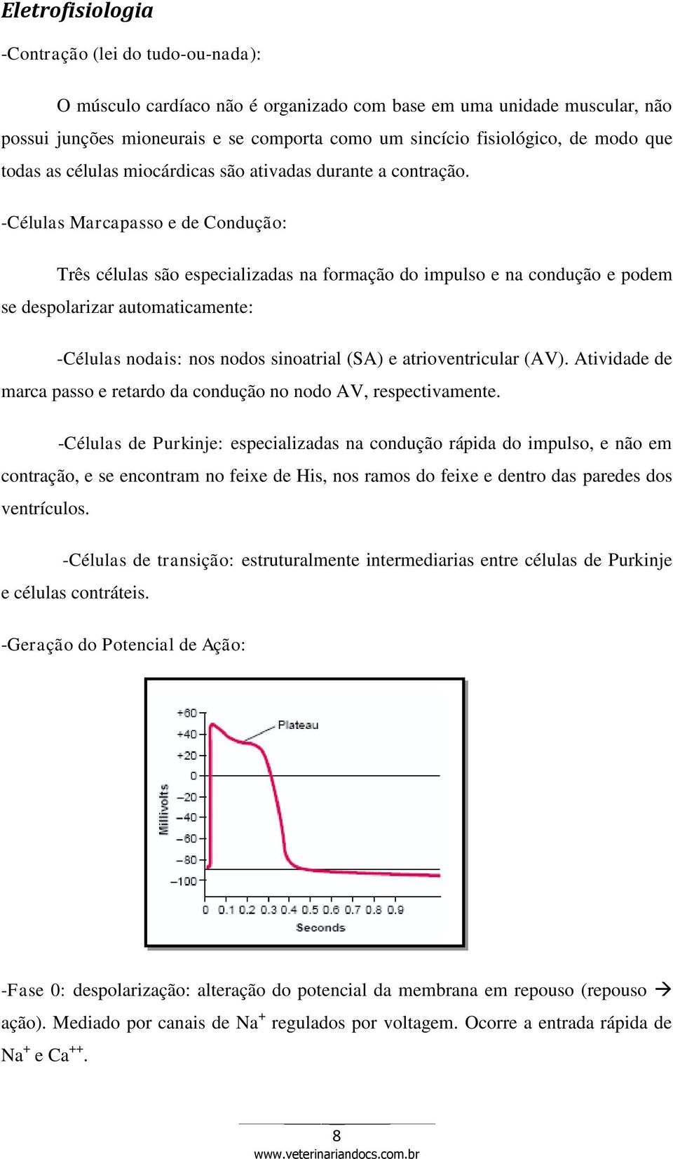 -Células Marcapasso e de Condução: Três células são especializadas na formação do impulso e na condução e podem se despolarizar automaticamente: -Células nodais: nos nodos sinoatrial (SA) e