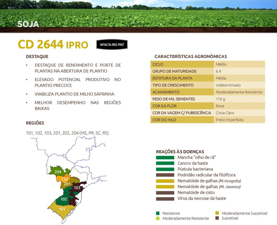 4 Média Indeterminado Moderadamente 176 g Roxa COR DA VAGEM C/ PUBESCÊNCIA Cinza Claro Preto Imperfeito 101, 102, 103, 201, 202,