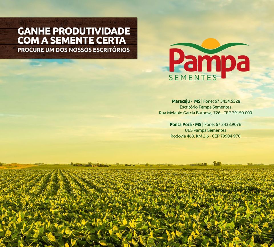 5528 Escritório Pampa Sementes Rua Melanio Garcia Barbosa, 726 -