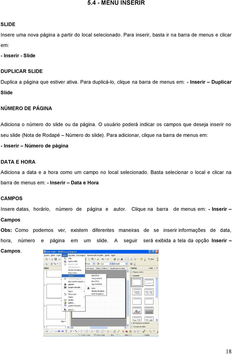 O usuário porá indicar os campos que seja inserir no seu sli (Nota Rodapé Número do sli).