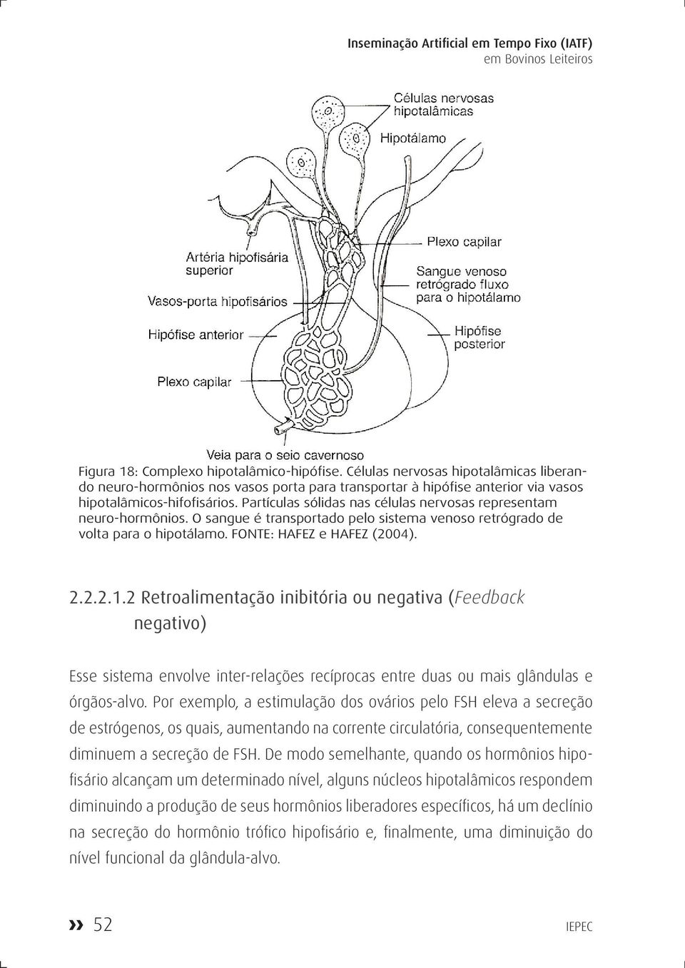 Partículas sólidas nas células nervosas representam neuro-hormônios. O sangue é transportado pelo sistema venoso retrógrado de volta para o hipotálamo. FONTE: HAFEZ e HAFEZ (2004). 2.2.2.1.
