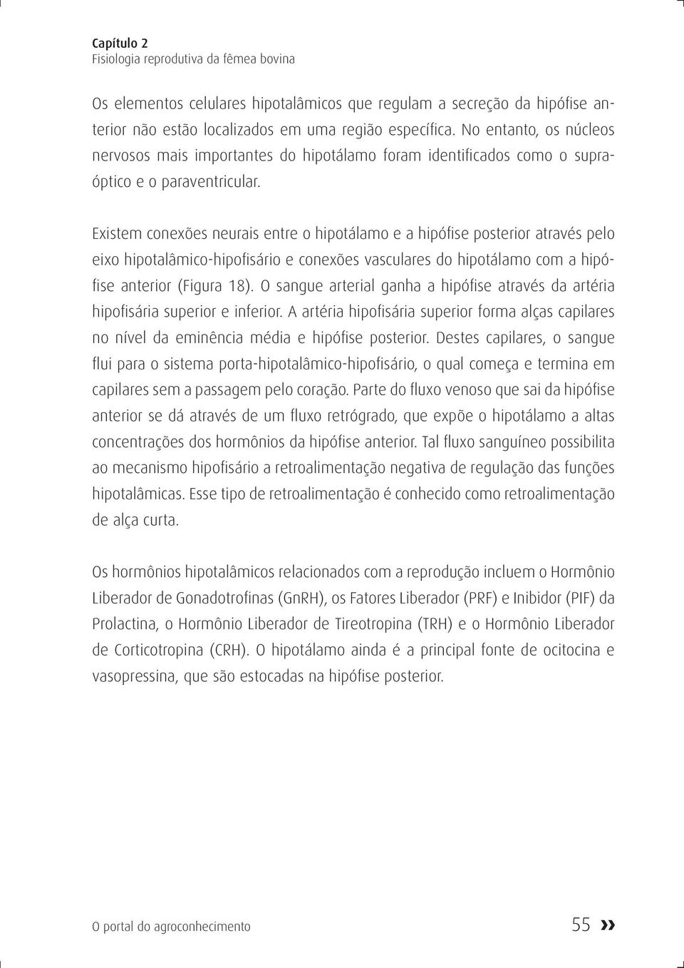 Existem conexões neurais entre o hipotálamo e a hipófise posterior através pelo eixo hipotalâmico-hipofisário e conexões vasculares do hipotálamo com a hipófise anterior (Figura 18).