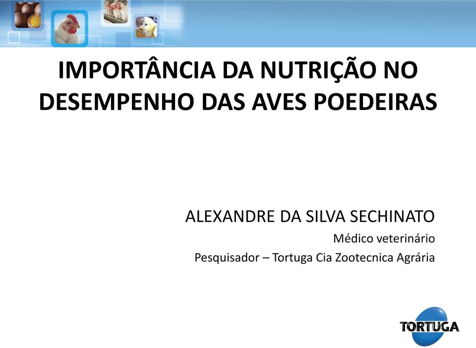 ALEXANDRE DA SILVA SECHINATO Médico