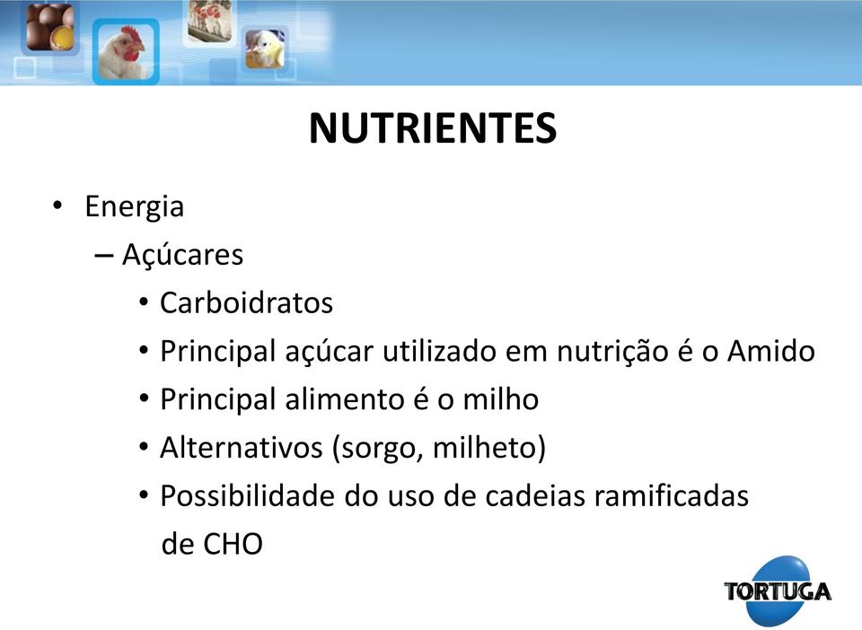 Principal alimento é o milho Alternativos (sorgo,