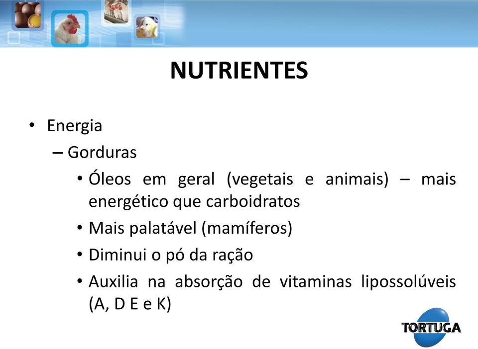 carboidratos Mais palatável (mamíferos) Diminui o