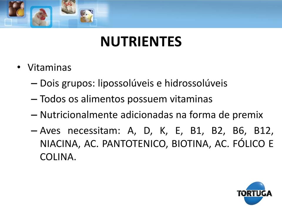 Nutricionalmente adicionadas na forma de premix Aves