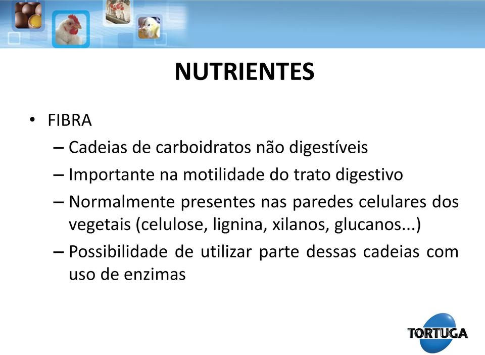 nas paredes celulares dos vegetais (celulose, lignina, xilanos,