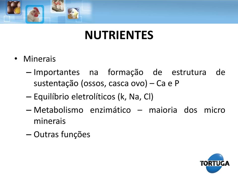 P Equilíbrio eletrolíticos (k, Na, Cl)