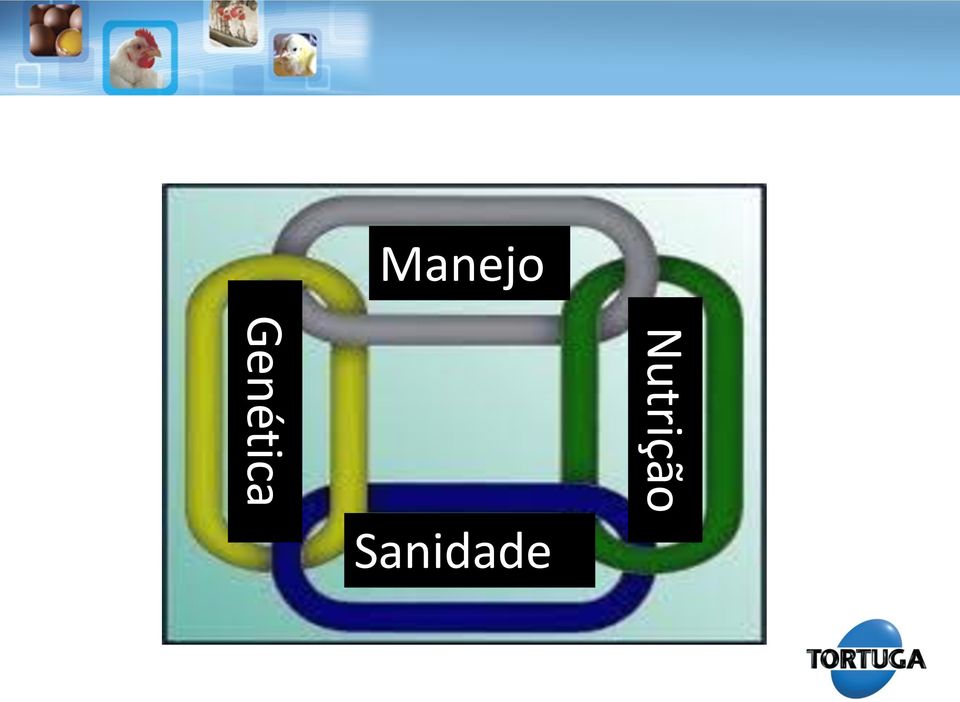 Sanidade