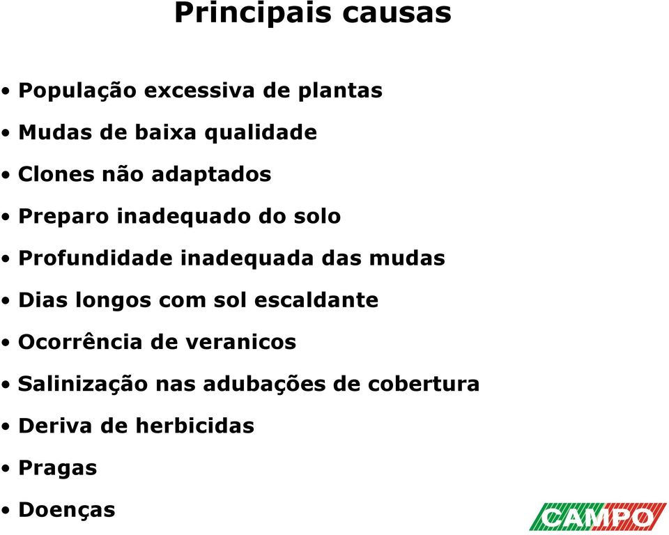 solo Profundidade inadequada das mudas Dias longos com sol escaldante