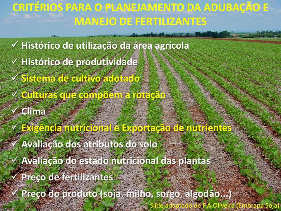 Exportação de nutrientes Avaliação dos atributos do solo Avaliação do estado nutricional das plantas Preço de