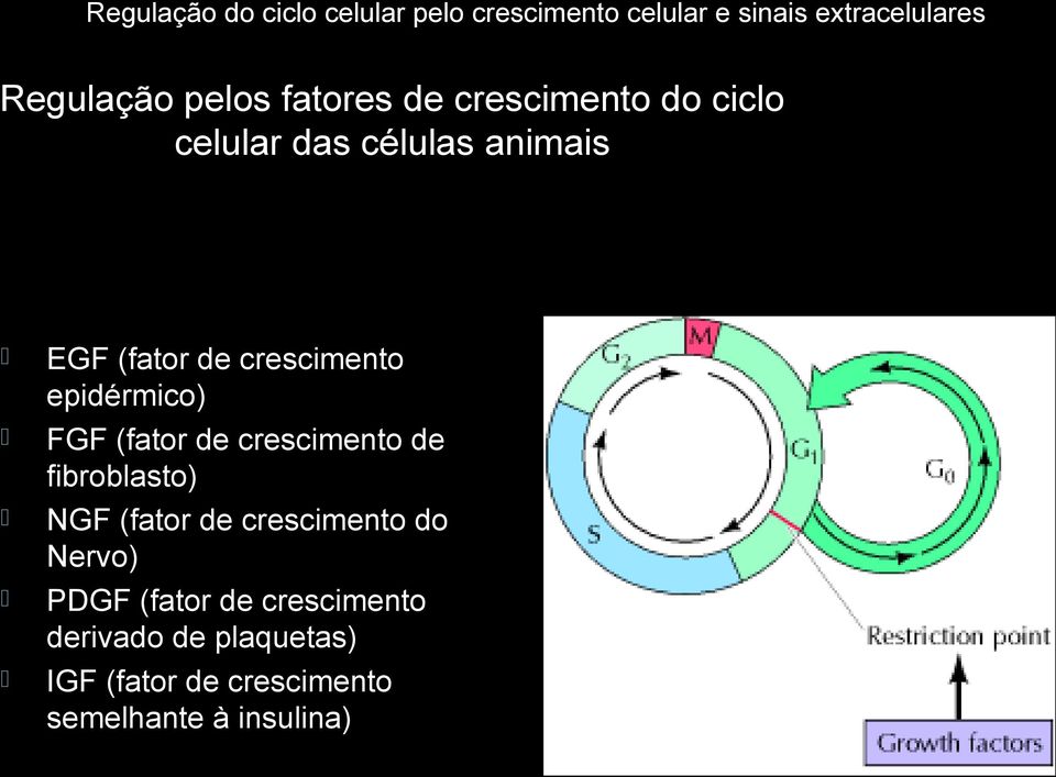 epidérmico) FGF (fator de crescimento de fibroblasto) NGF (fator de crescimento do Nervo)