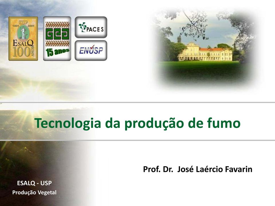 Produção Vegetal Prof.