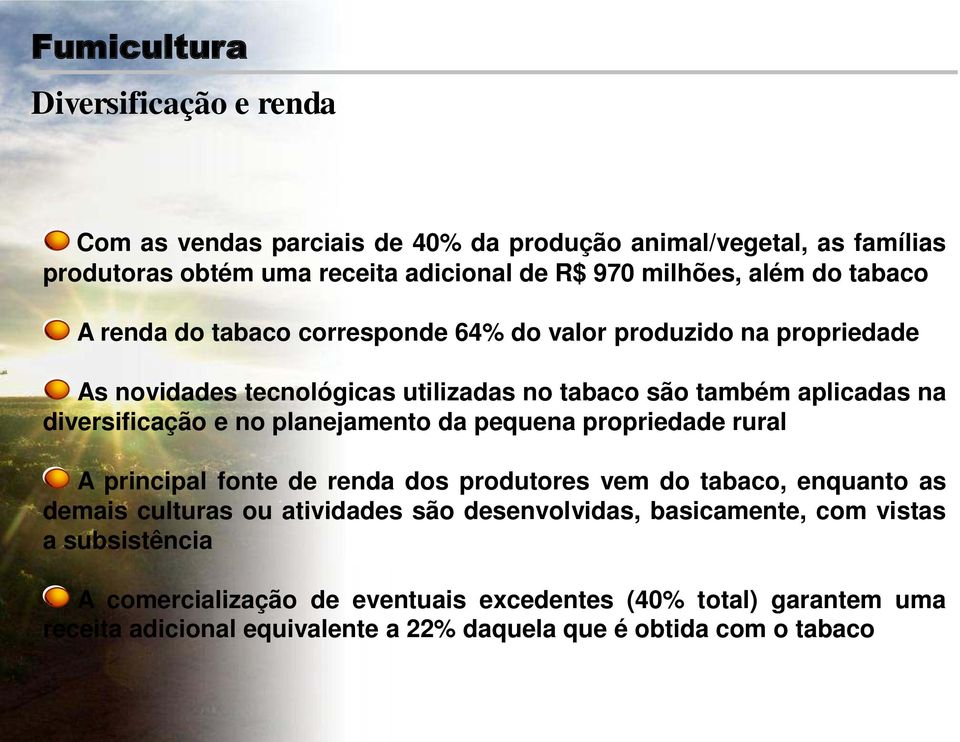 no planejamento da pequena propriedade rural A principal fonte de renda dos produtores vem do tabaco, enquanto as demais culturas ou atividades são desenvolvidas,