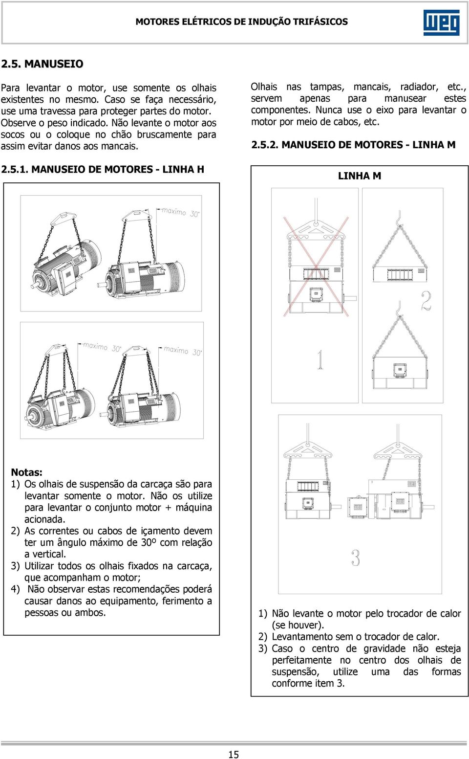 , servem apenas para manusear estes componentes. Nunca use o eixo para levantar o motor por meio de cabos, etc. 2.