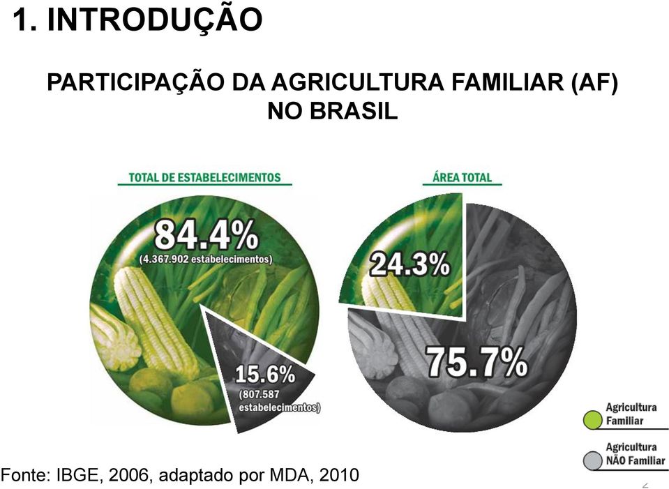 (AF) NO BRASIL Fonte: IBGE,