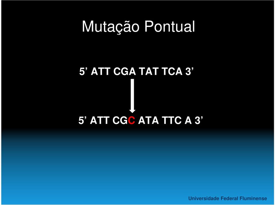 CGA TAT TCA 3