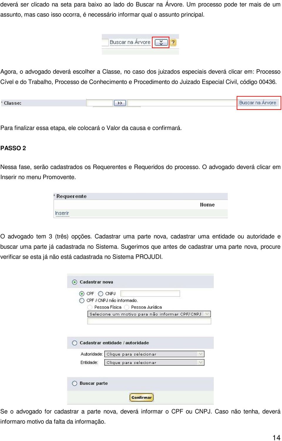 00436. Para finalizar essa etapa, ele colocará o Valor da causa e confirmará. PASSO 2 Nessa fase, serão cadastrados os Requerentes e Requeridos do processo.