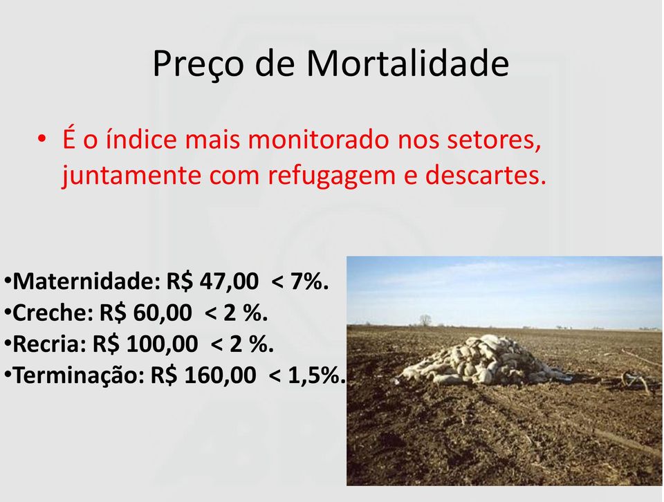 Maternidade: R$ 47,00 < 7%. Creche: R$ 60,00 < 2 %.