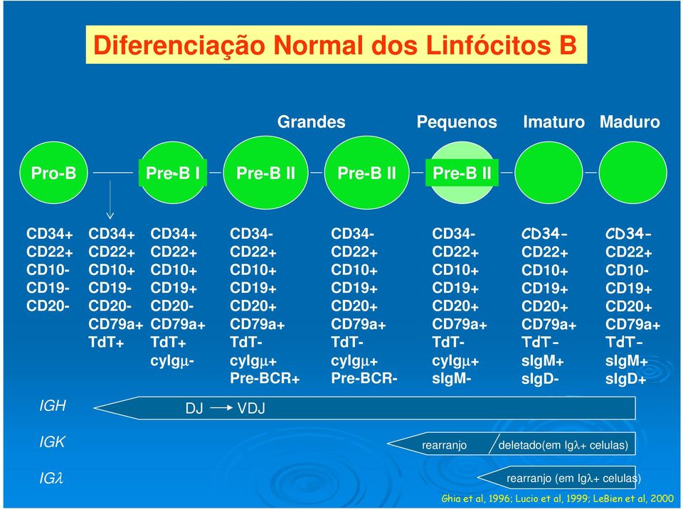 CD79a+ TdTcyIgµ+ Pre-BCR- CD34- CD22+ CD10+ CD19+ CD20+ CD79a+ TdTcyIgµ+ sigm- CD34- CD22+ CD10+ CD19+ CD20+ CD79a+ TdTsIgM+ sigd- CD34- CD22+ CD10- CD19+