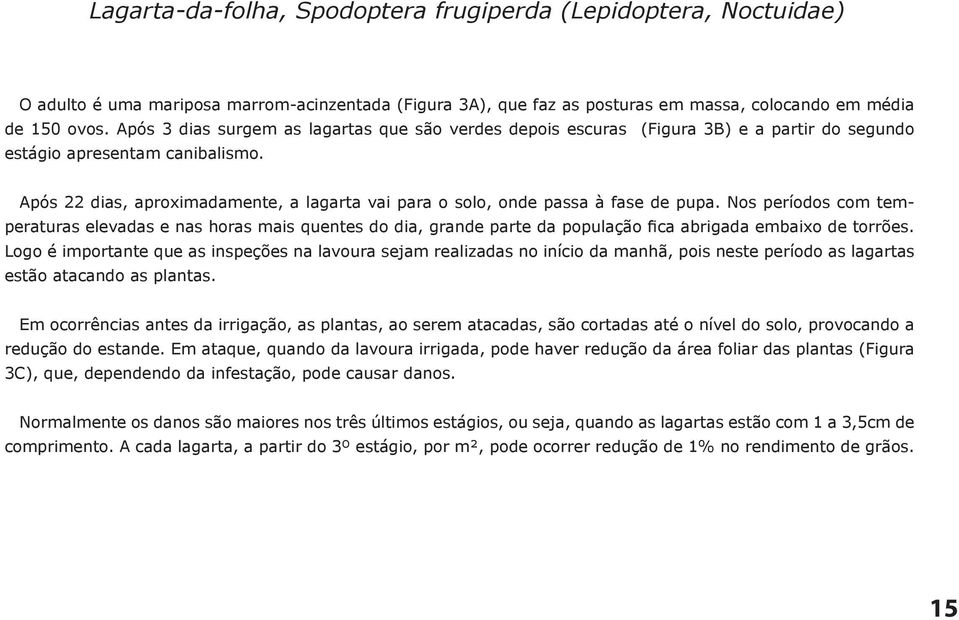 Após 22 dias, aproximadamente, a lagarta vai para o solo, onde passa à fase de pupa.