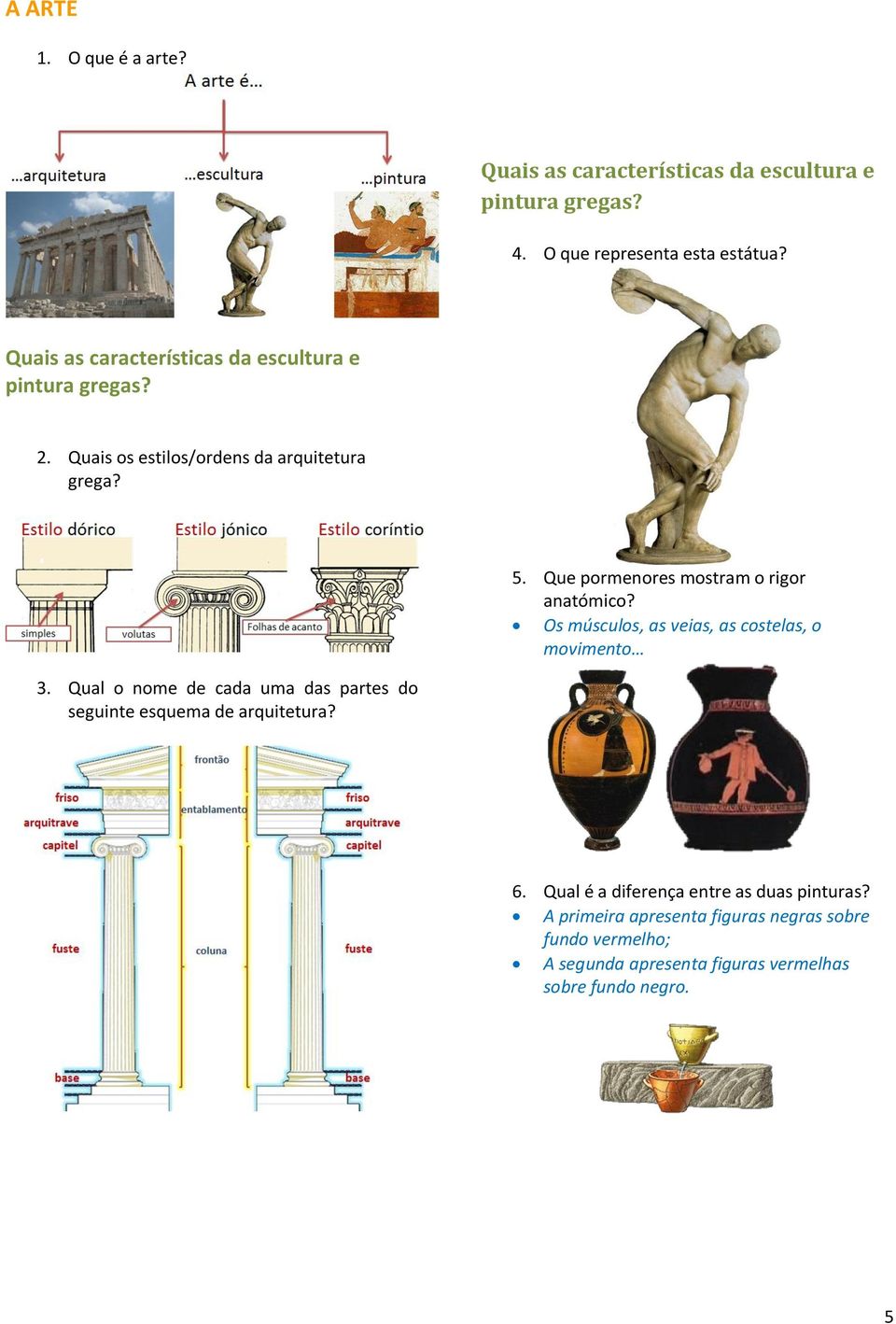 Que pormenores mostram o rigor anatómico? Os músculos, as veias, as costelas, o movimento 3.