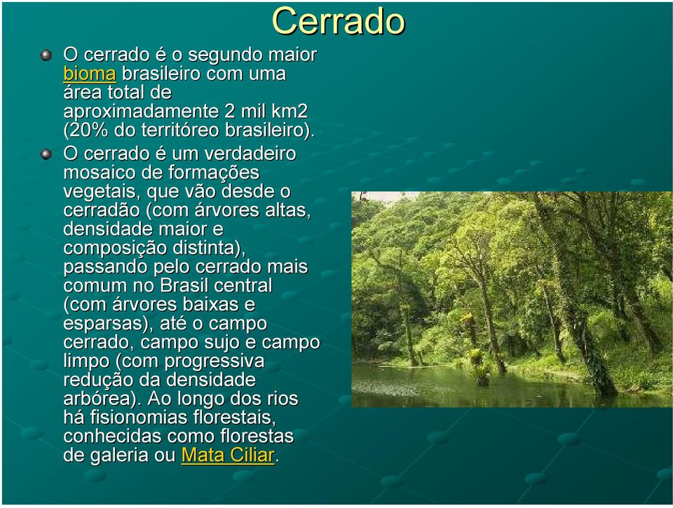 distinta), passando pelo cerrado mais comum no Brasil central (com árvores baixas e esparsas), até o campo cerrado, campo sujo e campo