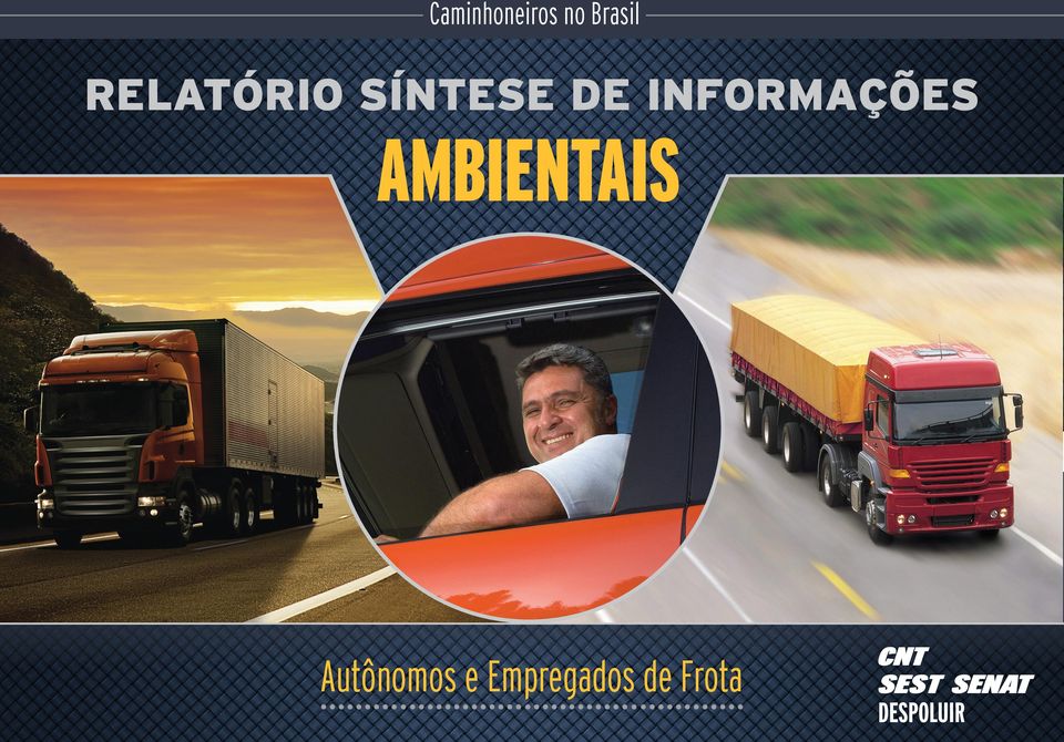 SÍNTESE DE INFORMAÇÕES