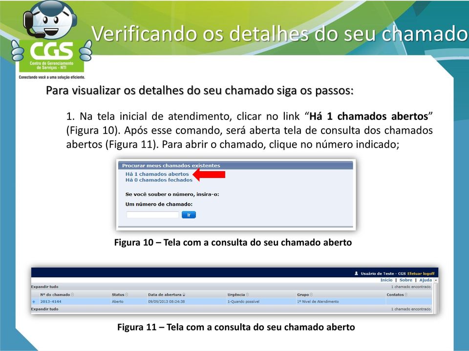 Após esse comando, será aberta tela de consulta dos chamados abertos (Figura 11).