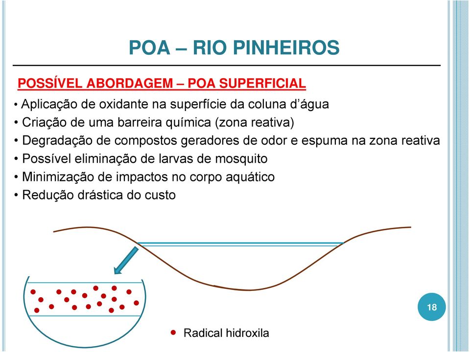 de compostos geradores de odor e espuma na zona reativa Possível eliminação de larvas