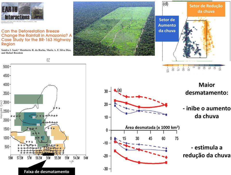 biodiversity, but the impact of deforestation over small areas is still a less known matter.