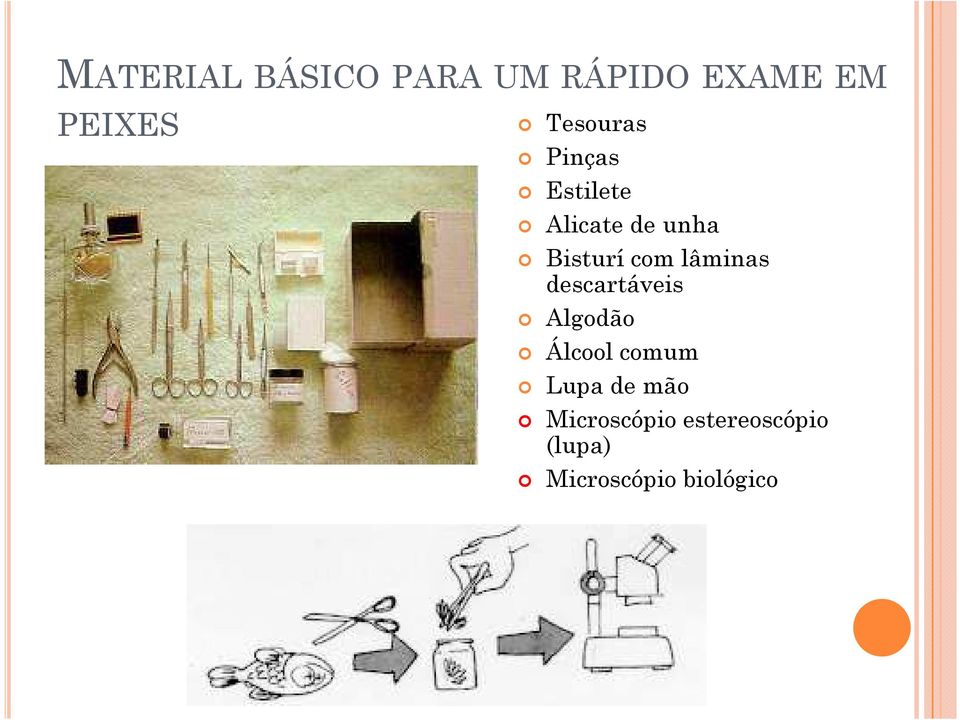 com lâminas descartáveis Algodão Álcool comum Lupa