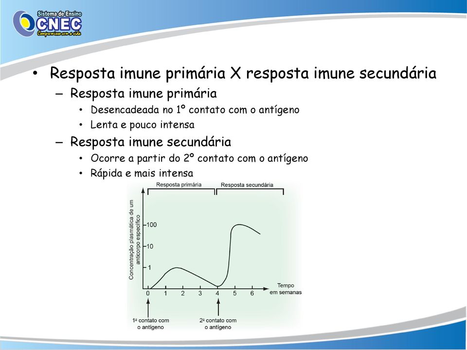 antígeno Lenta e pouco intensa Resposta imune secundária