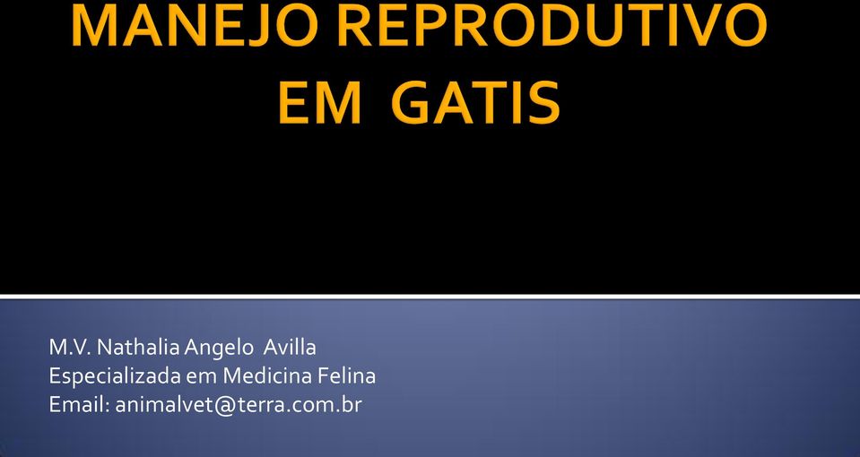 em Medicina Felina