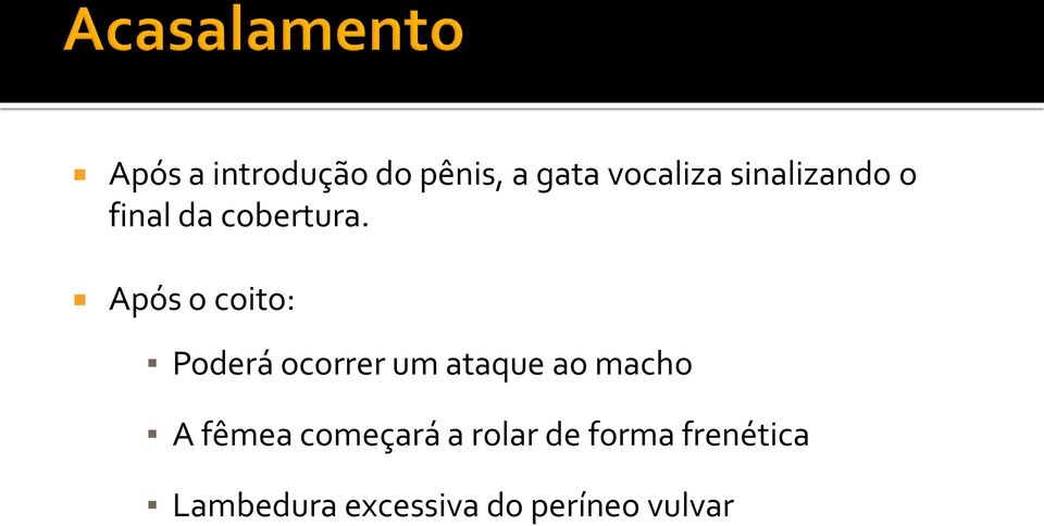 Após o coito: Poderá ocorrer um ataque ao macho A